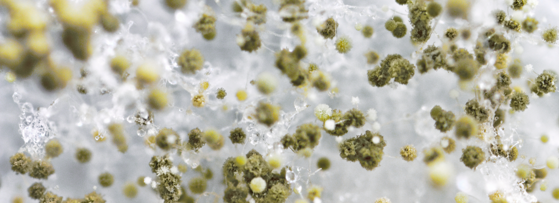 Combating the Silent Intruder: Unveiling  the Hidden Dangers…