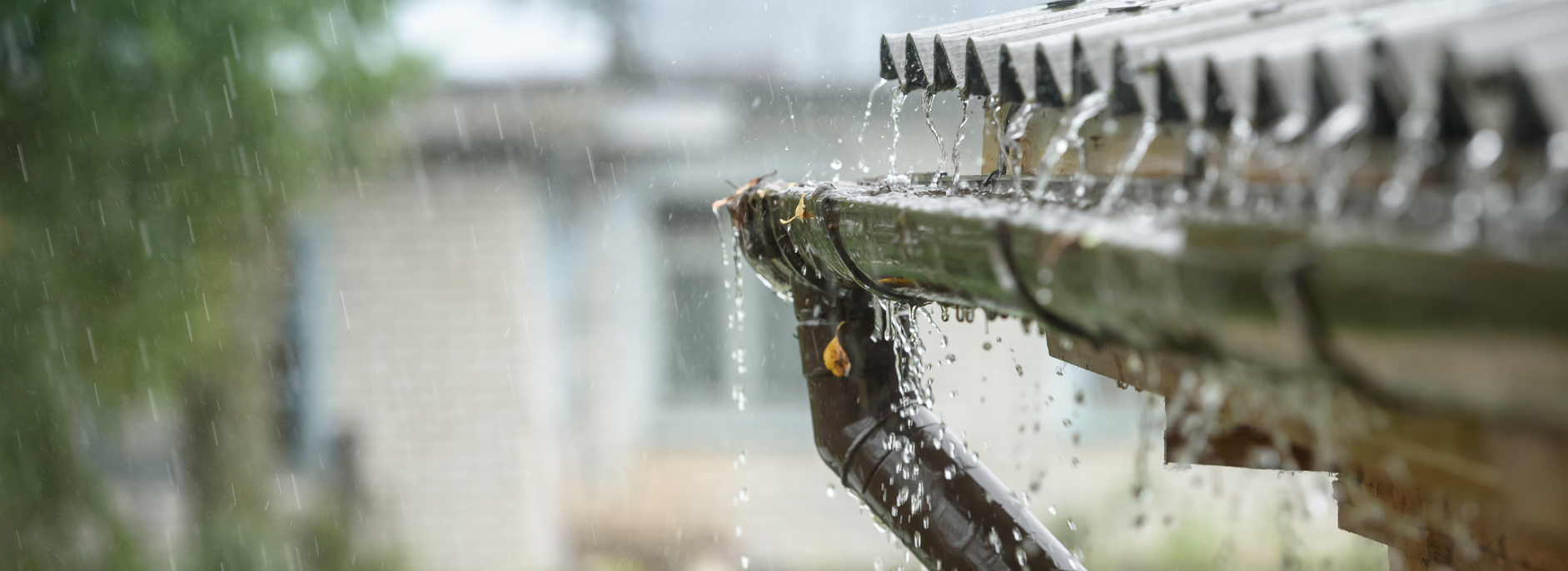 How to Prepare Your Home For Heavy Rainfall Events