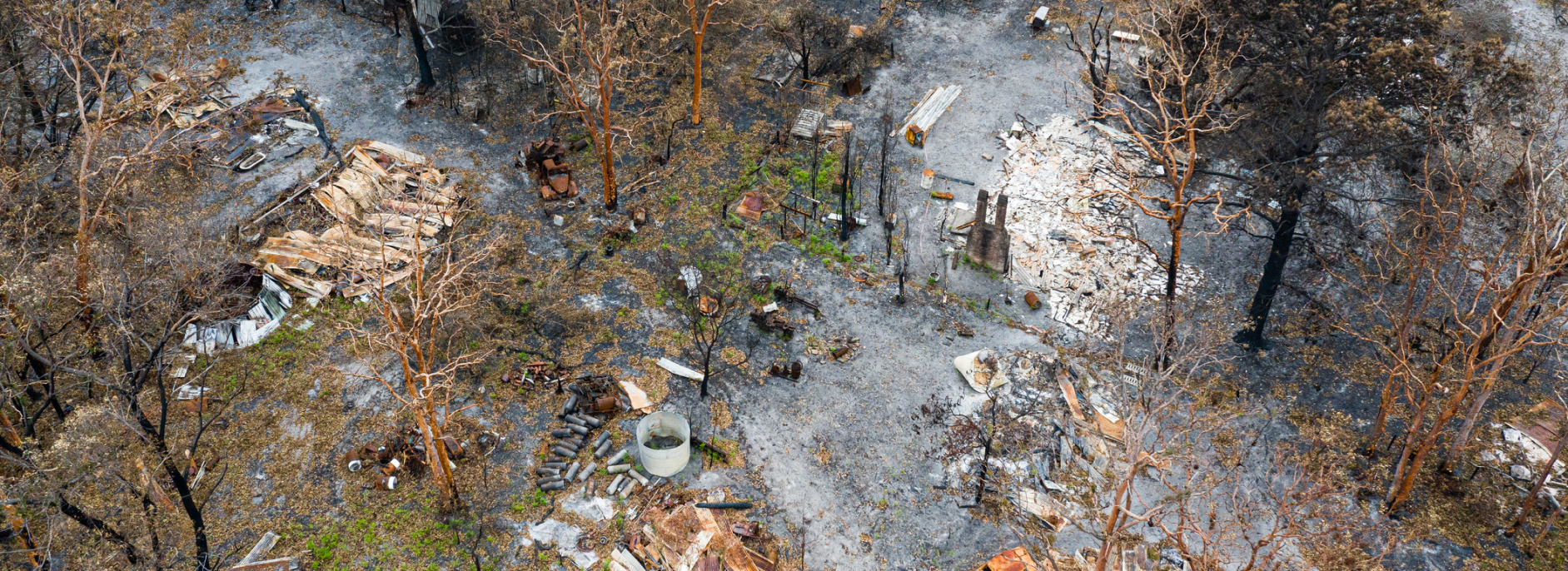 The Aftermath of Natural Disasters