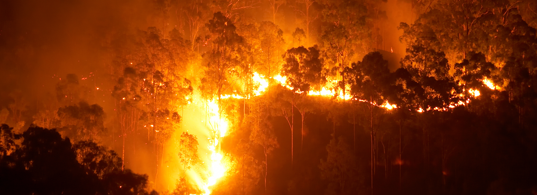 What To Expect From Our Australian Fire Season